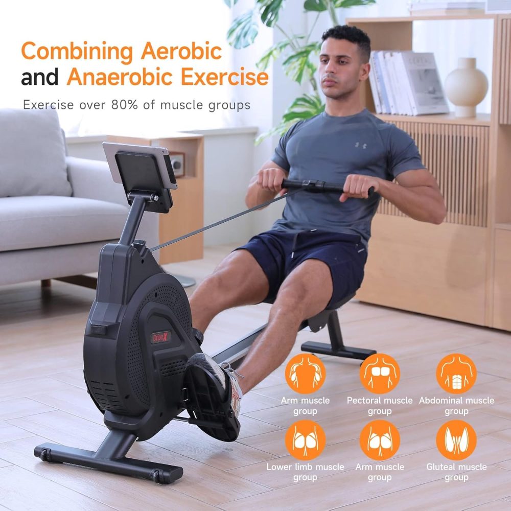 Rameur Appartement Dripex F203S, Freinage Magnétique, 16 Niveaux de Résistance, Pliable