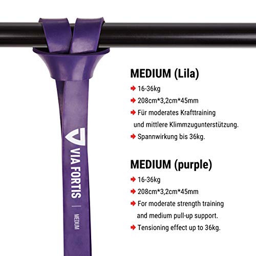 Set De Bandes élastiques De Fitness 15 Cm - Avec Sac De Transport Et Guide D'exercices Pour Yoga, Pilates, Musculation